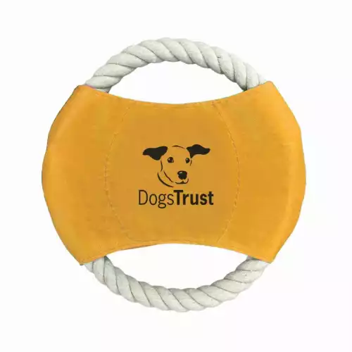 Dog Frisbee